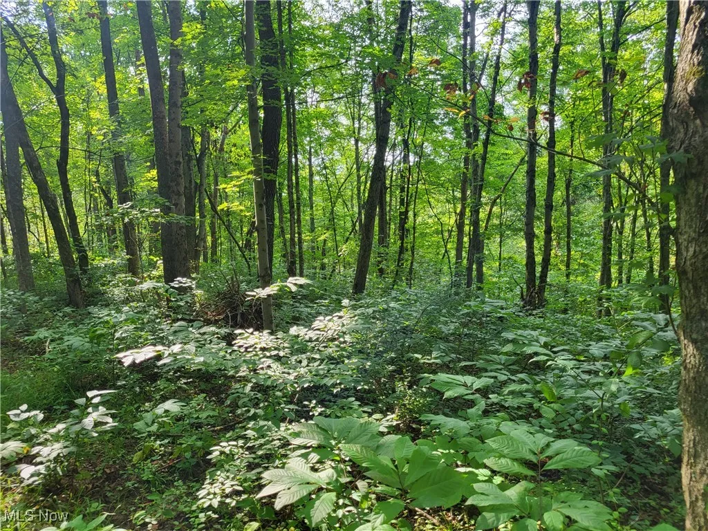5855 Olney Run Road, Mcconnelsville, Ohio,MLS Now Listing ID