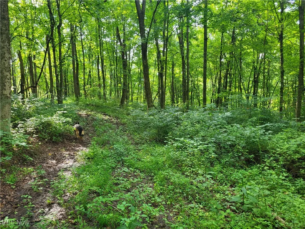 5855 Olney Run Road, Mcconnelsville, Ohio,MLS Now Listing ID