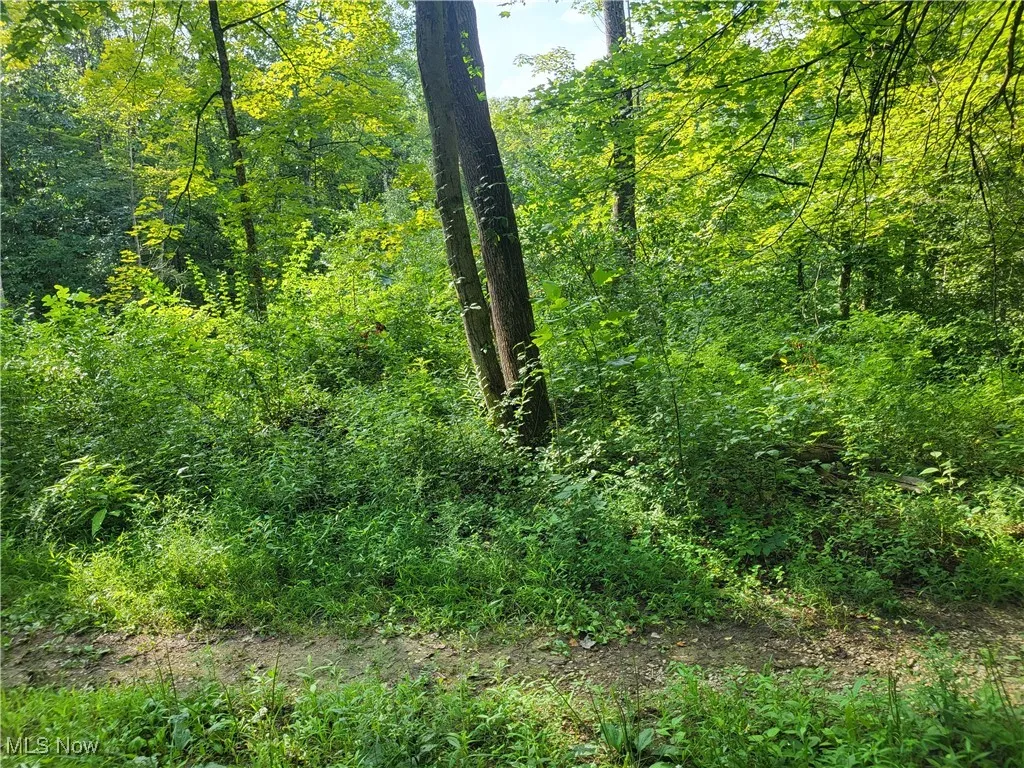 5855 Olney Run Road, Mcconnelsville, Ohio,MLS Now Listing ID