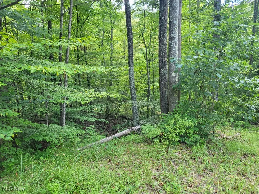 5855 Olney Run Road, Mcconnelsville, Ohio,MLS Now Listing ID