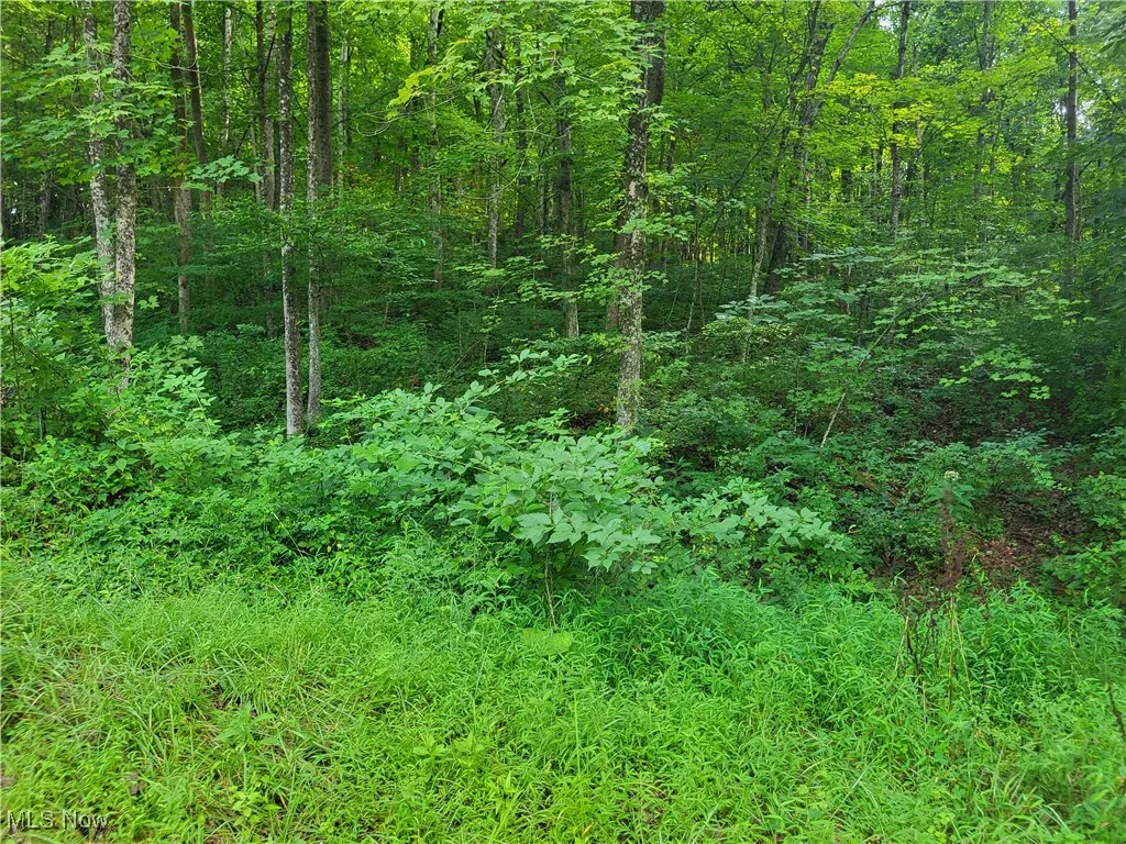 5855 Olney Run Road, Mcconnelsville, Ohio,MLS Now Listing ID