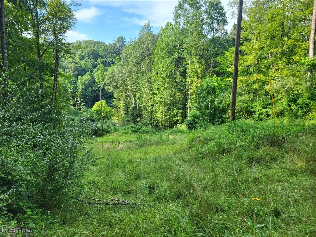 5855 Olney Run Road, Mcconnelsville, Ohio,MLS Now Listing ID