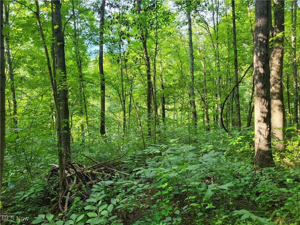 5855 Olney Run Road, Mcconnelsville, Ohio,MLS Now Listing ID