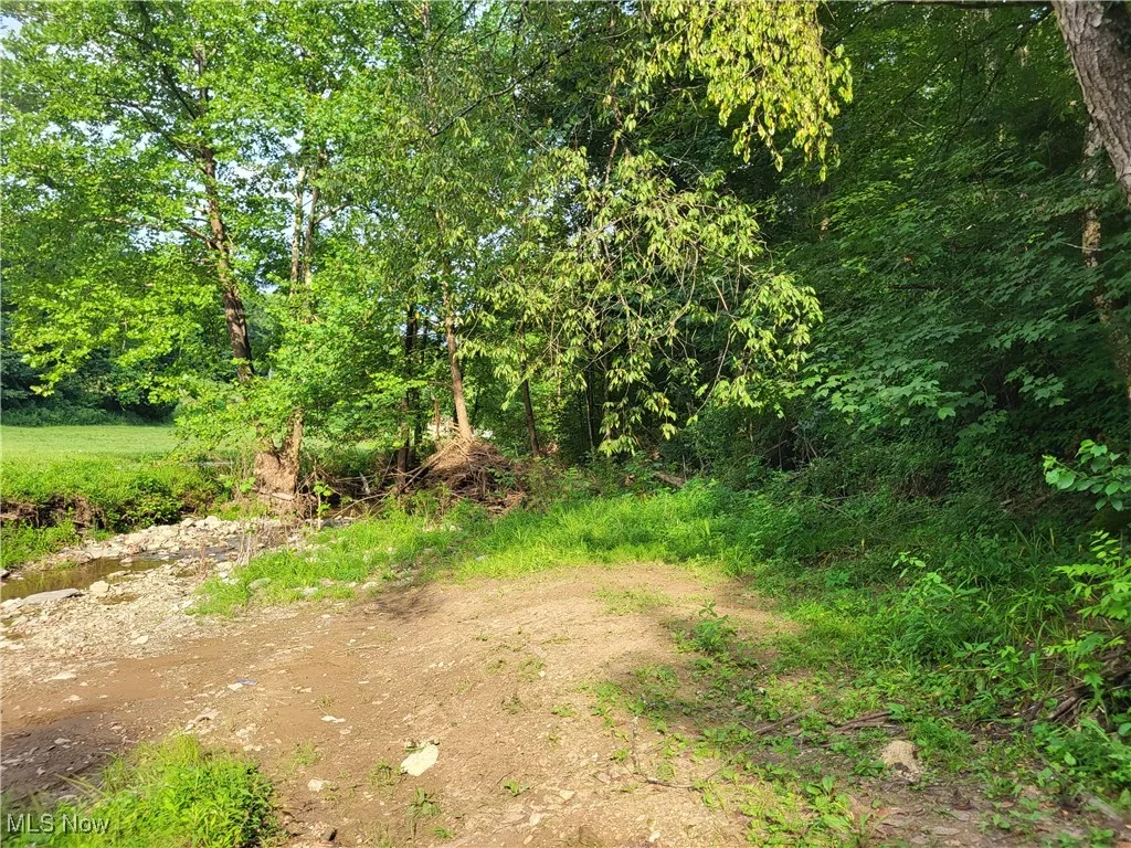 5855 Olney Run Road, Mcconnelsville, Ohio,MLS Now Listing ID