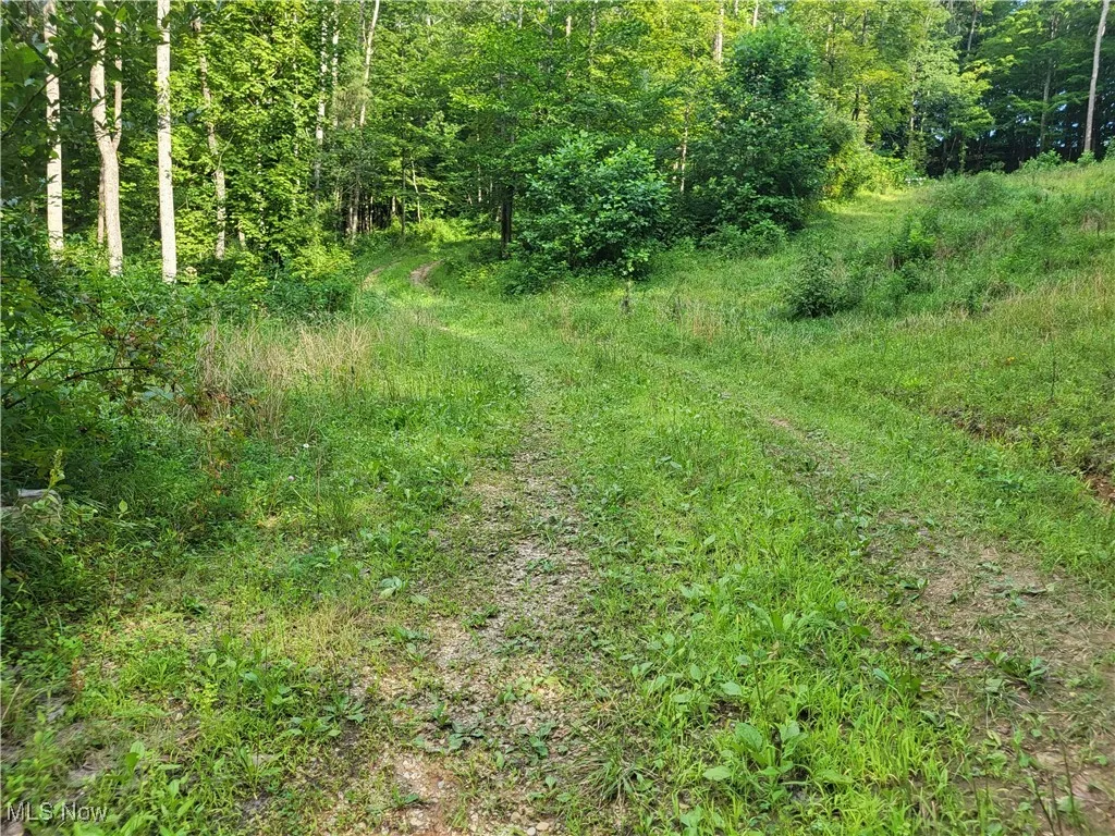 5855 Olney Run Road, Mcconnelsville, Ohio,MLS Now Listing ID