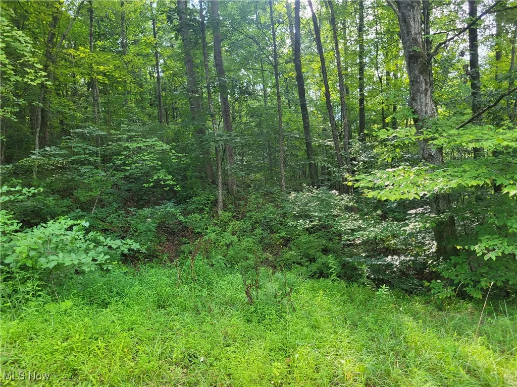 5855 Olney Run Road, Mcconnelsville, Ohio,MLS Now Listing ID