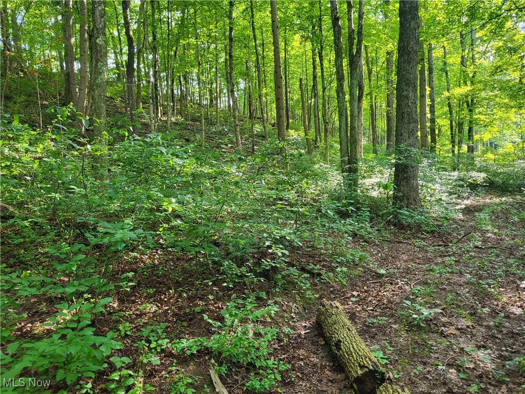 5855 Olney Run Road, Mcconnelsville, Ohio,MLS Now Listing ID