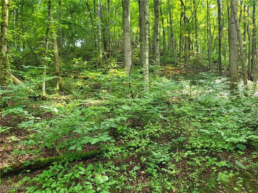 5855 Olney Run Road, Mcconnelsville, Ohio,MLS Now Listing ID