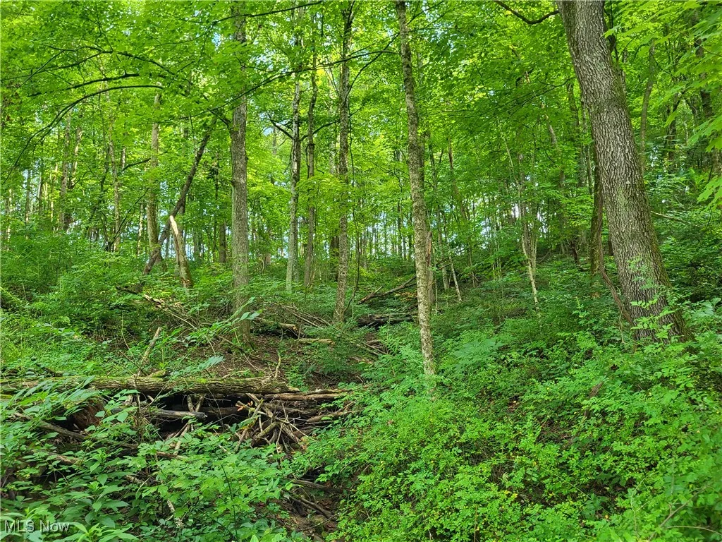 5855 Olney Run Road, Mcconnelsville, Ohio,MLS Now Listing ID