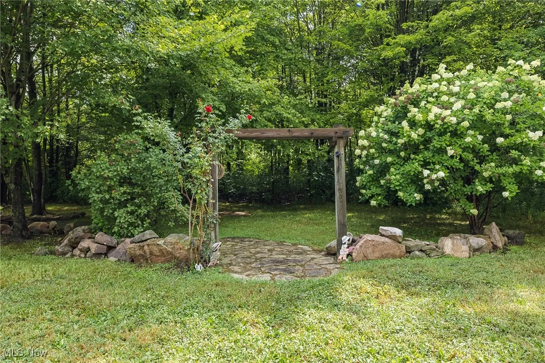 View of grassy yard