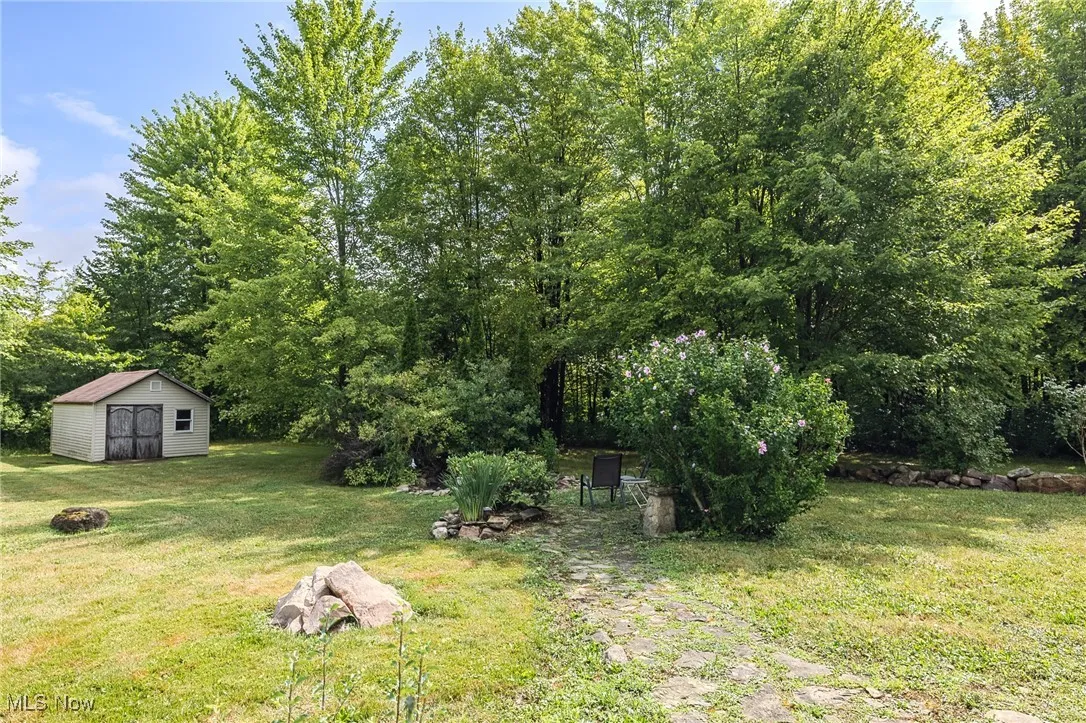 View of green lawn with a storage shed