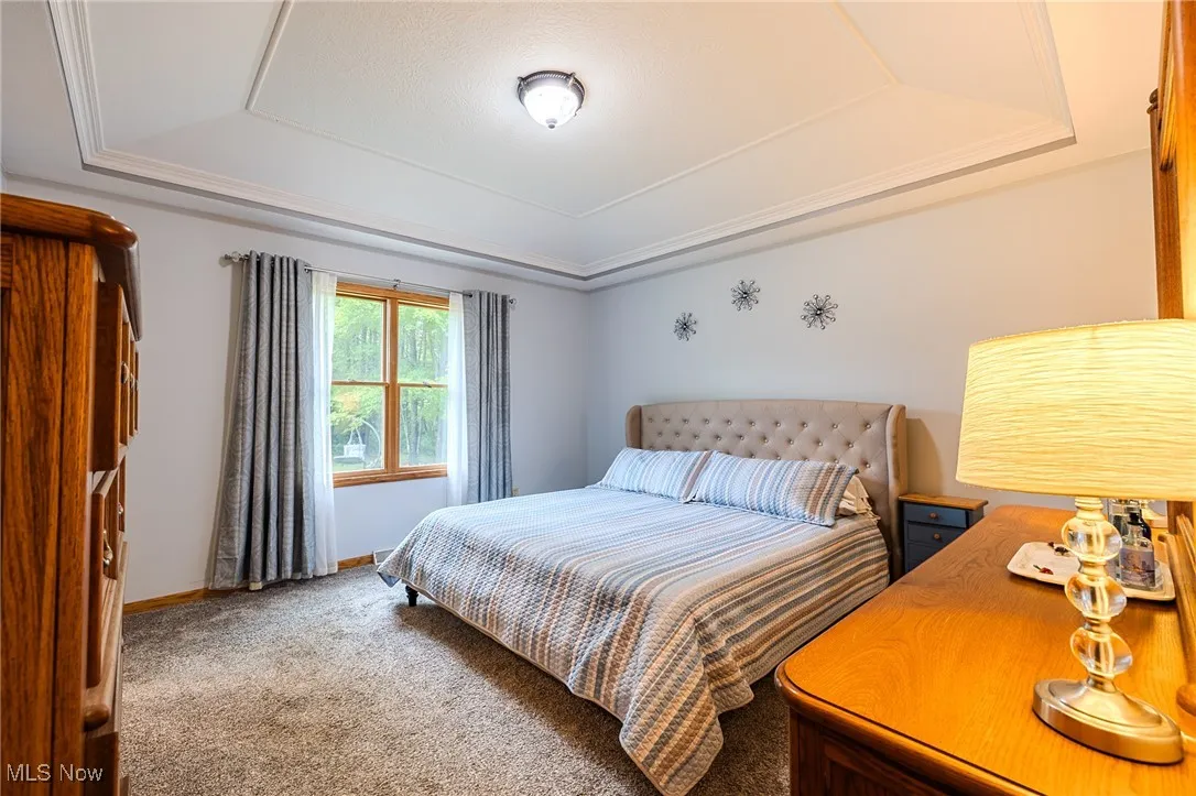 Bedroom with a raised ceiling and carpet floors