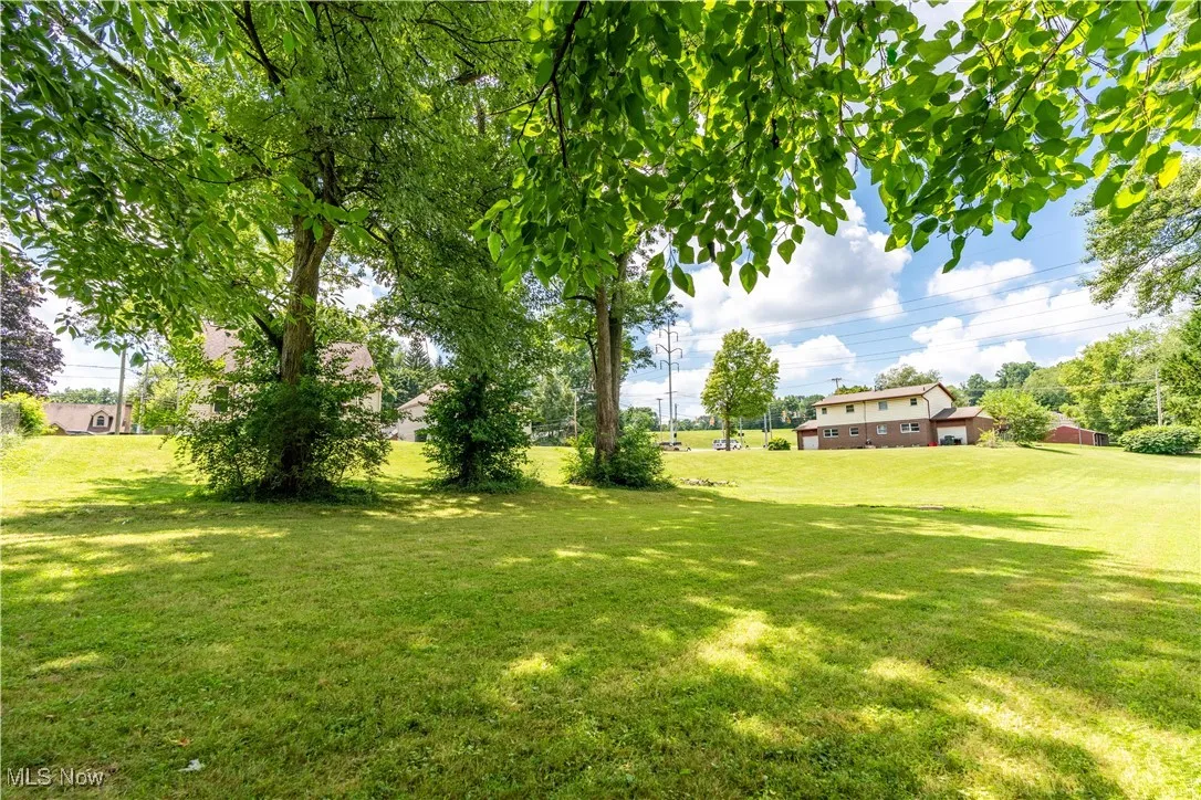 View of grassy yard