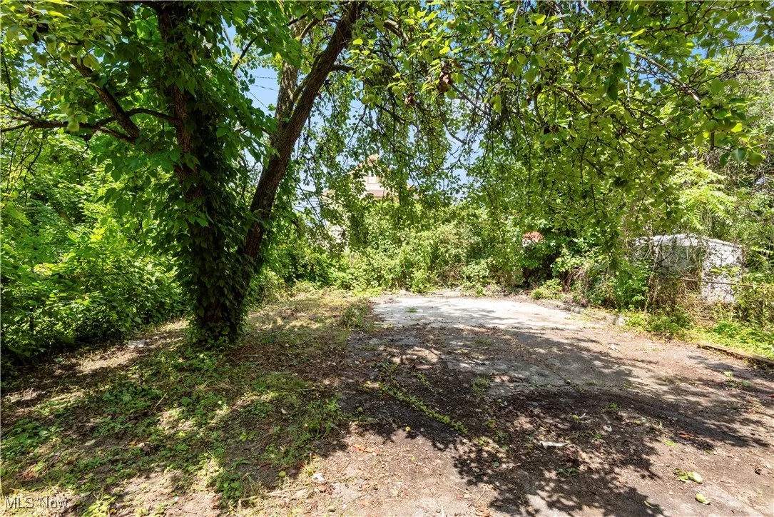 View of yard featuring a forest view