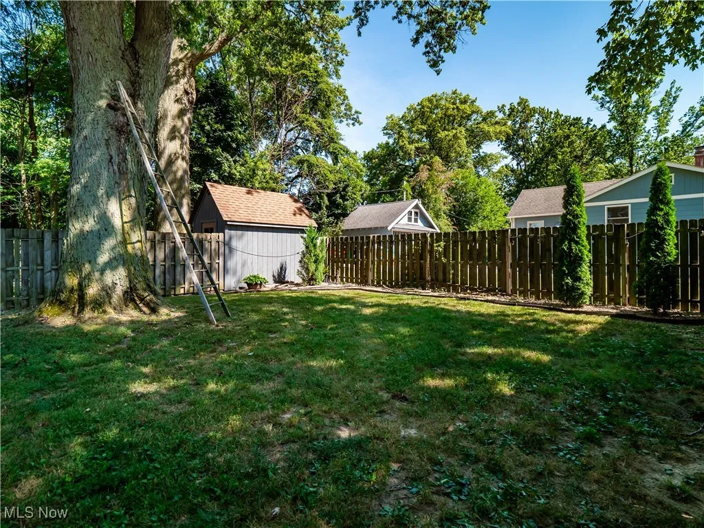 Fenced backyard