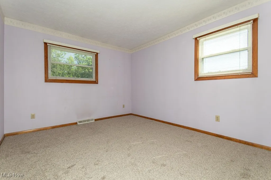 Spare room featuring plenty of natural light, carpet floors, and a textured ceiling
