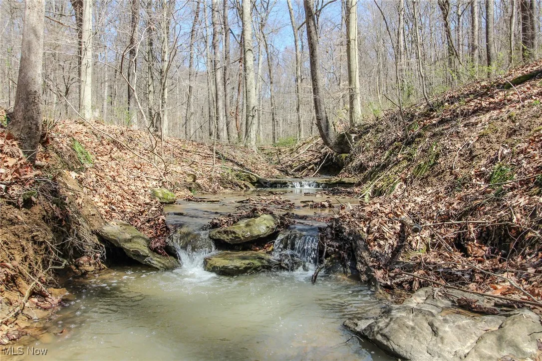 View of nature featuring a large body of water