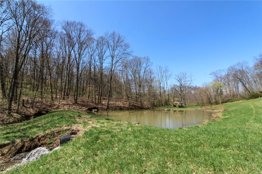 Water view featuring a heavily wooded area