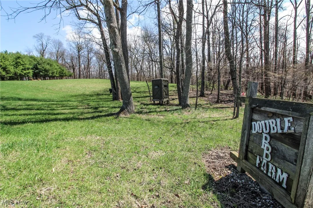 View of grassy yard