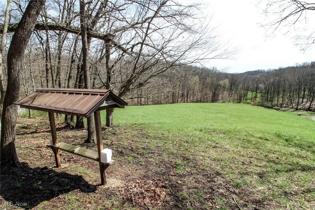 View of grassy yard featuring a forest view