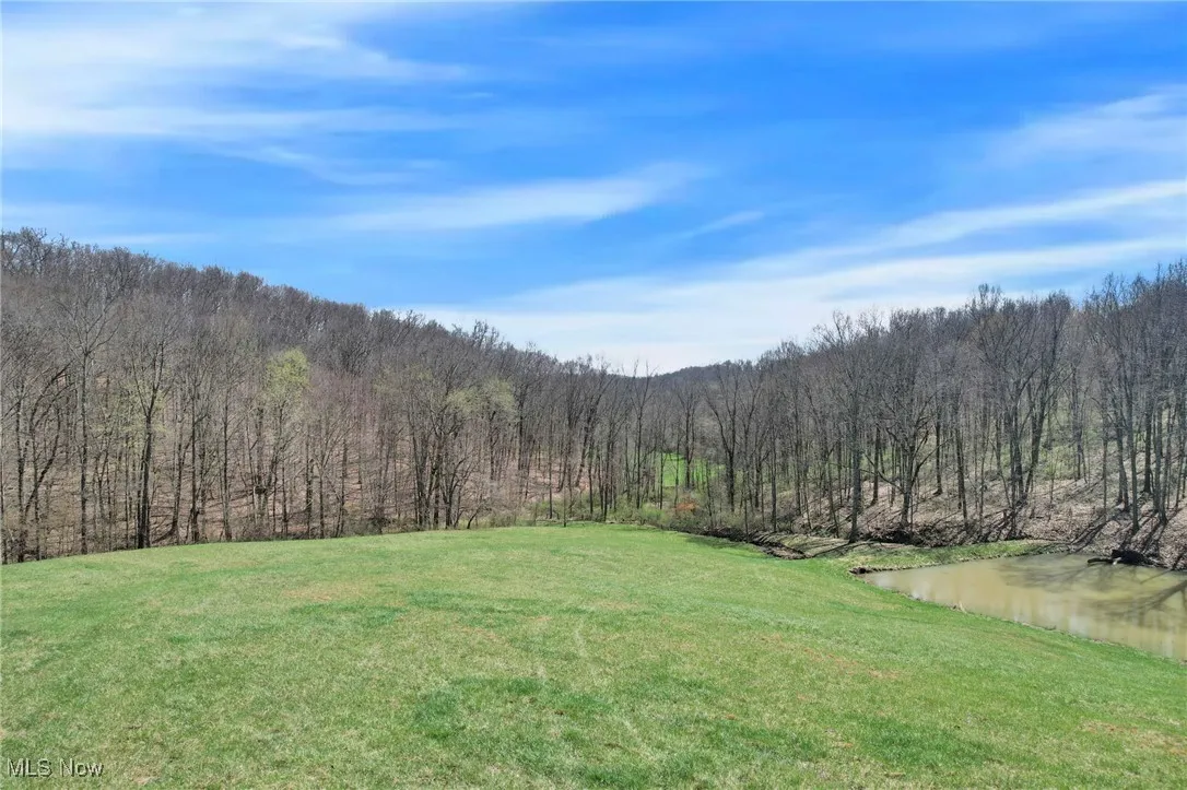 View of green lawn with a wooded view and a water view