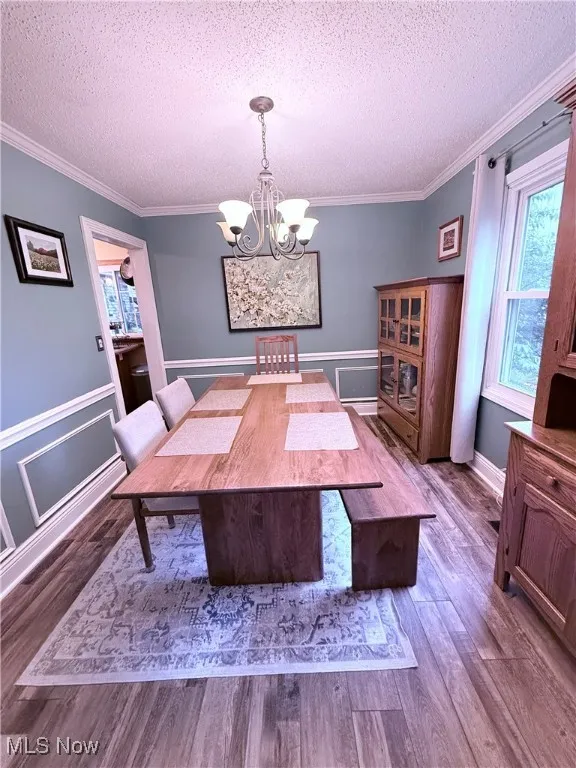 Dining room with a chandelier, a textured ceiling, crown molding, wood finished floors, and a decorative wall