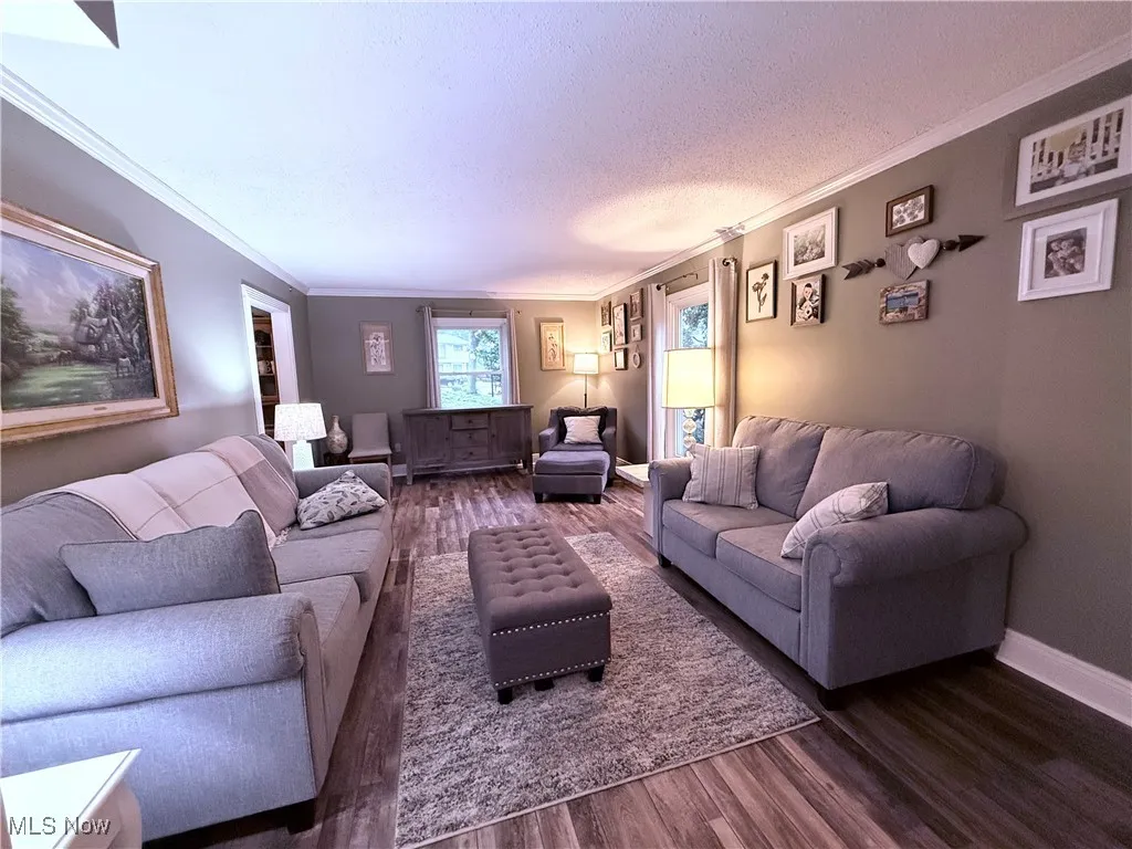 Living room featuring ornamental molding, wood finished floors, and a textured ceiling