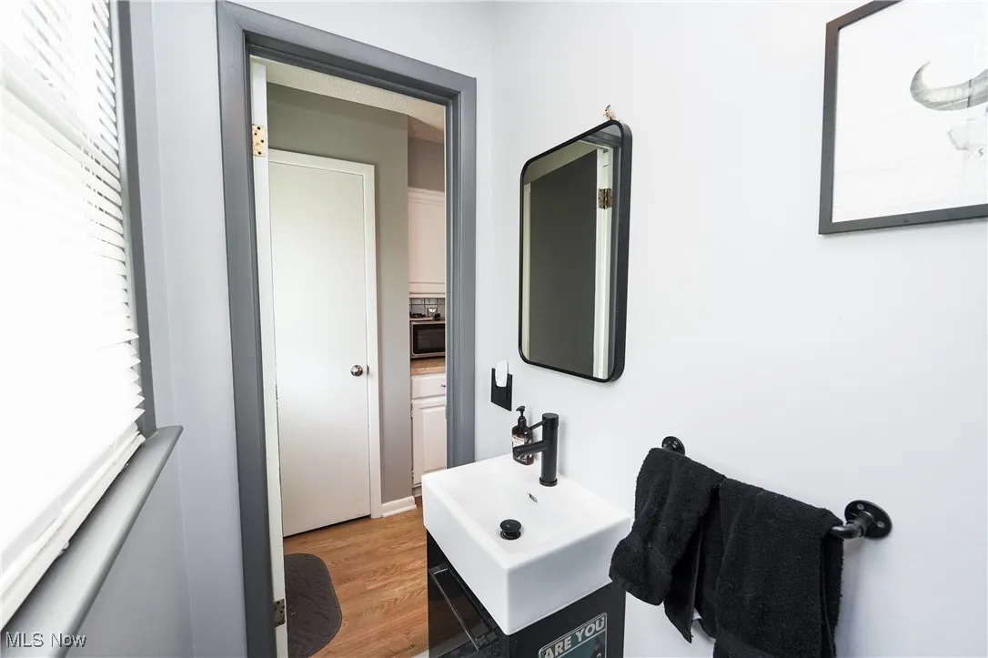 Bathroom with wood finished floors and a sink