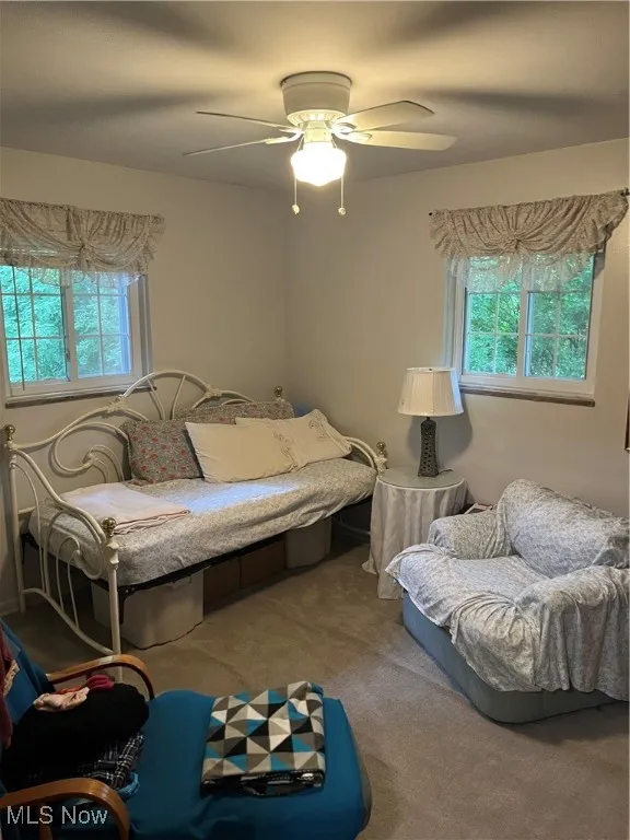 Carpeted bedroom with ceiling fan