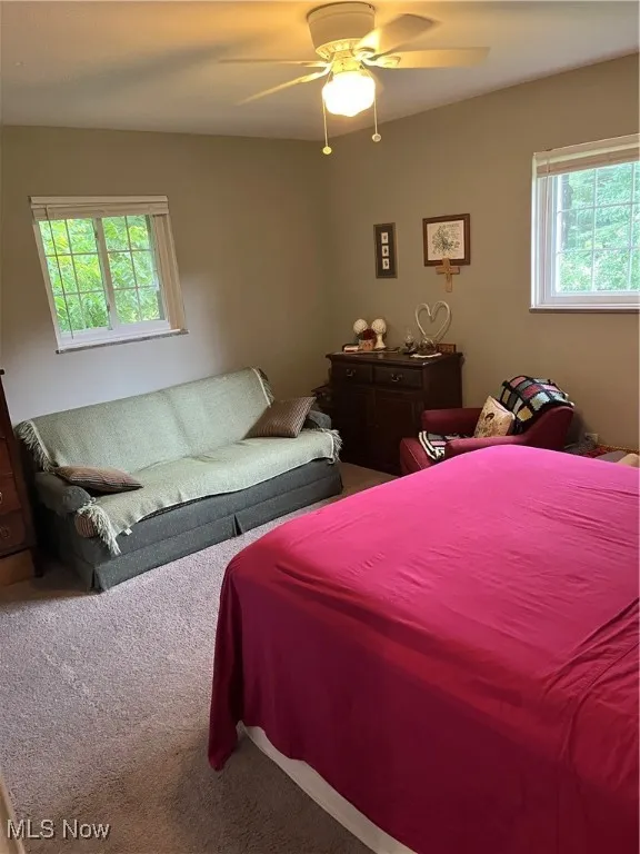 Carpeted bedroom with a ceiling fan