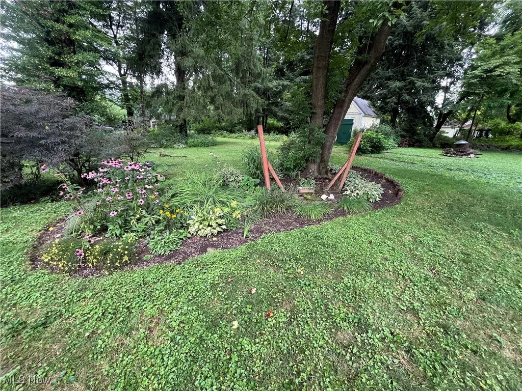 View of grassy yard with view of wooded area