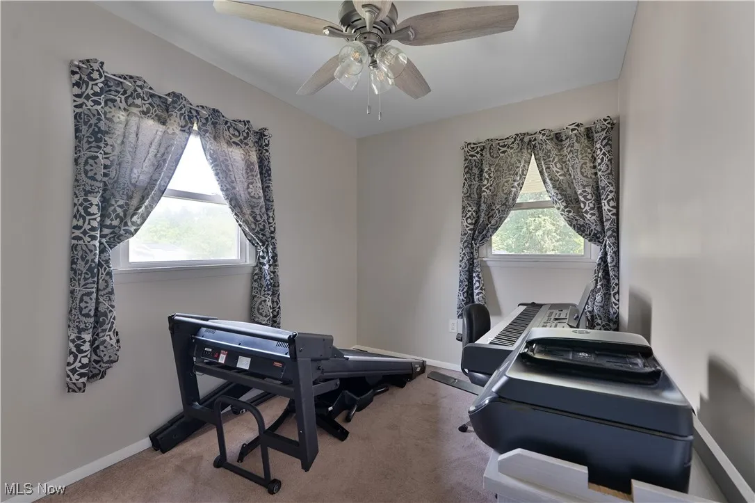 Workout room with carpet floors, plenty of natural light, and a ceiling fan
