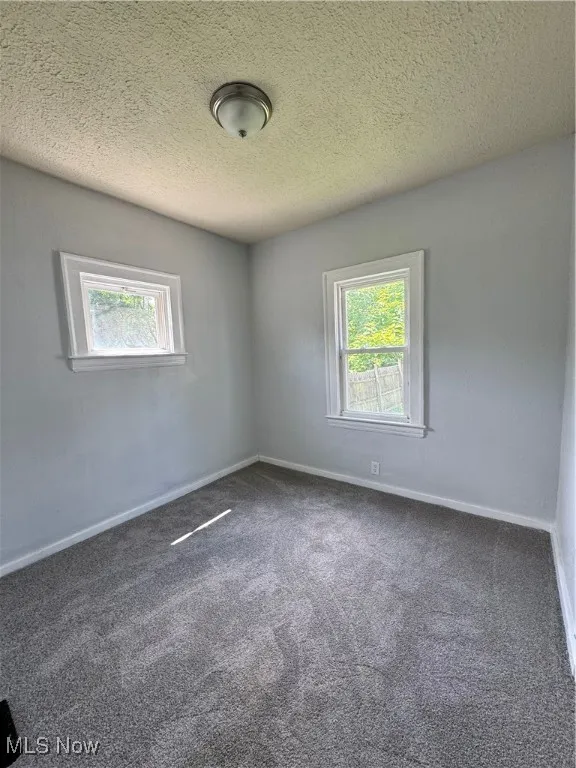 Empty room featuring plenty of natural light, carpet, and a textured ceiling