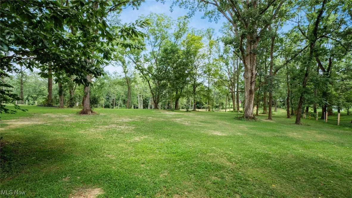 View of green lawn
