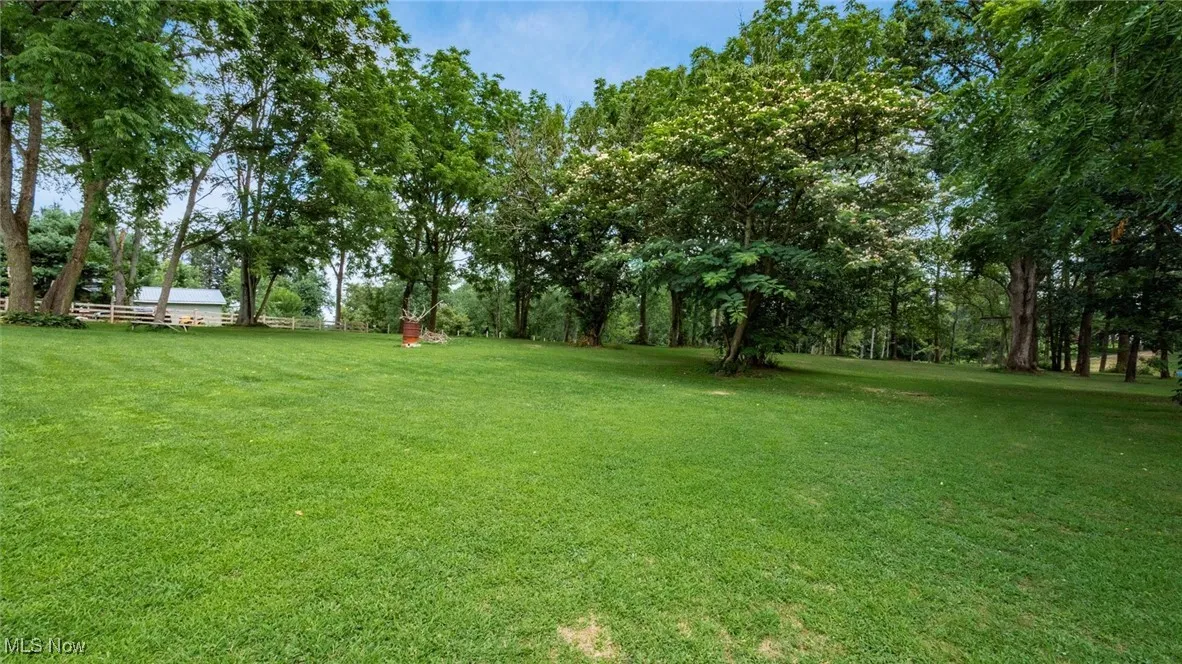 View of grassy yard with view of wooded area