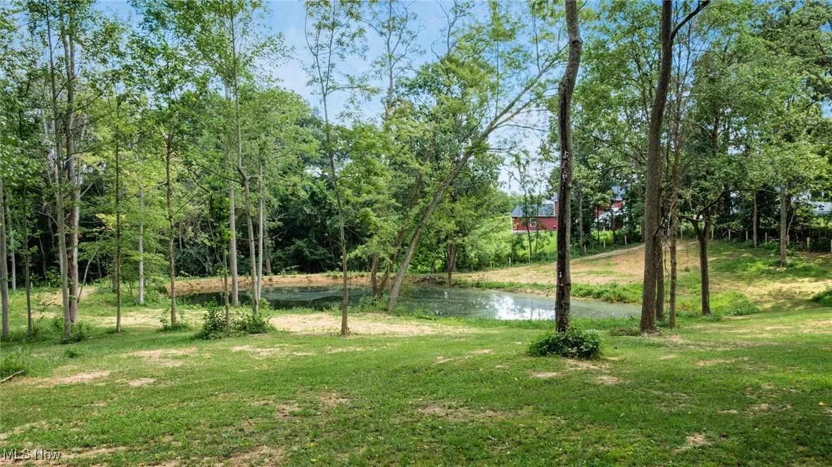 View of grassy yard with a water view