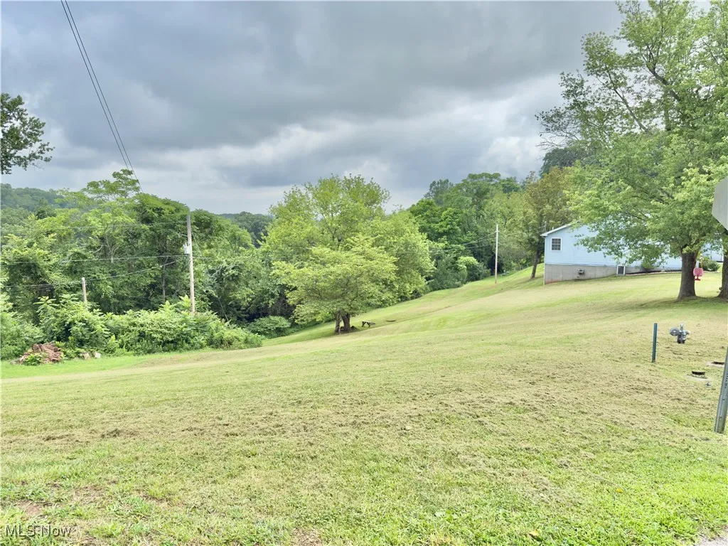 View of green lawn