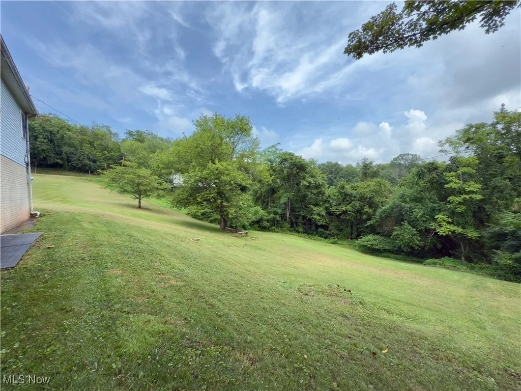 View of grassy yard