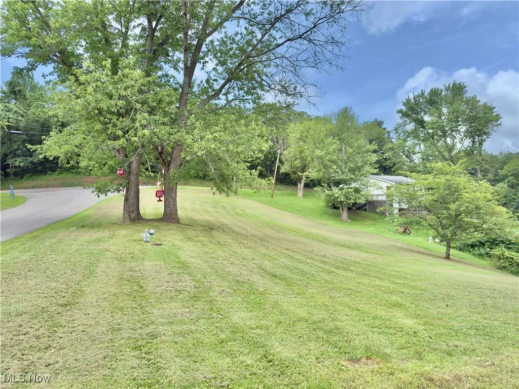 View of green lawn