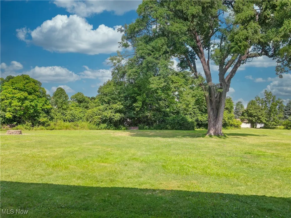 VIEW FROM BACKYARD.