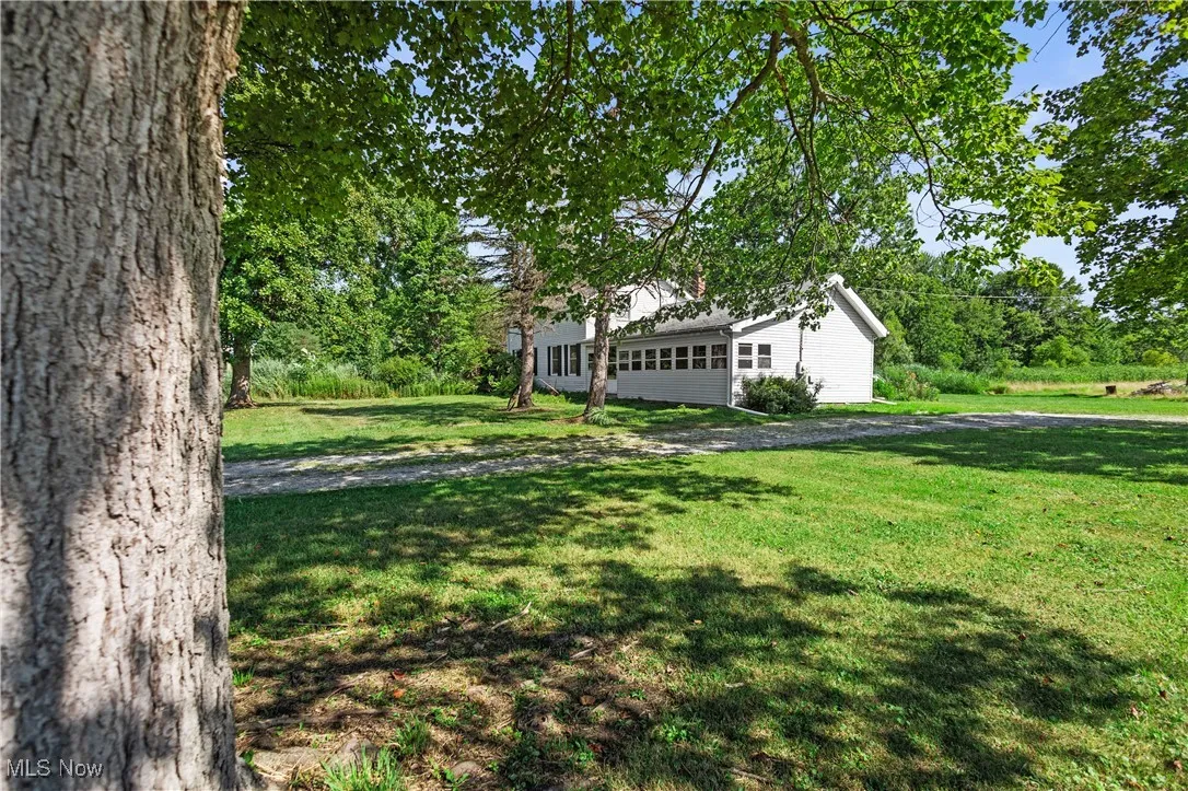 View of grassy yard