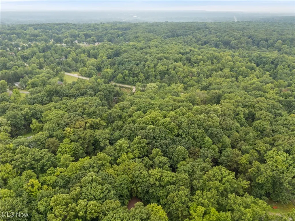 Aerial view.