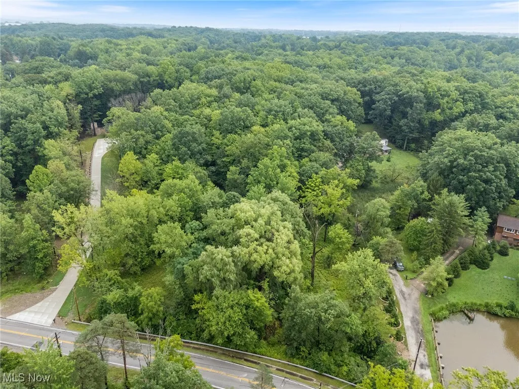 Aerial view.