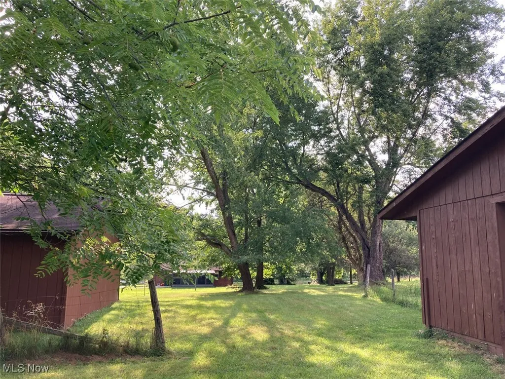 View of grassy yard