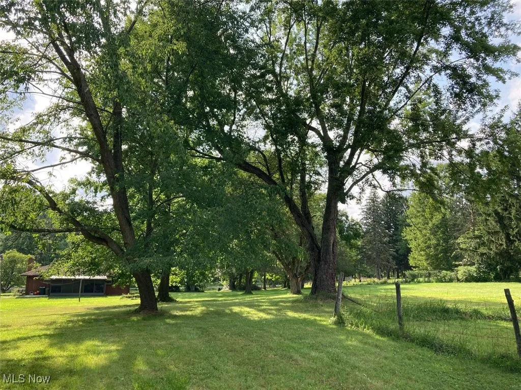 View of grassy yard