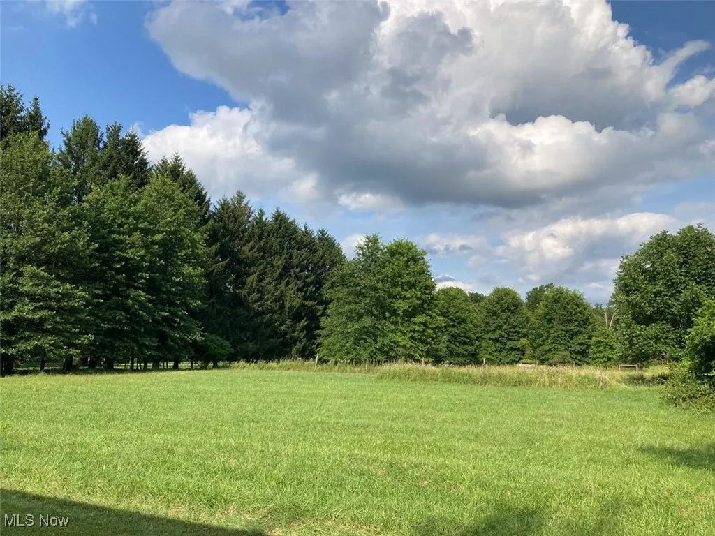 View of green lawn featuring a forest view