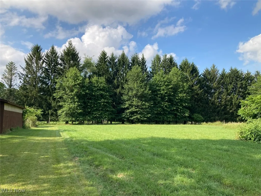 View of grassy yard with a view of trees