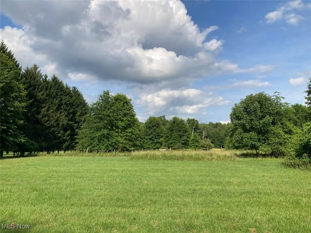 View of grassy yard with a forest view and a view of rural / pastoral area
