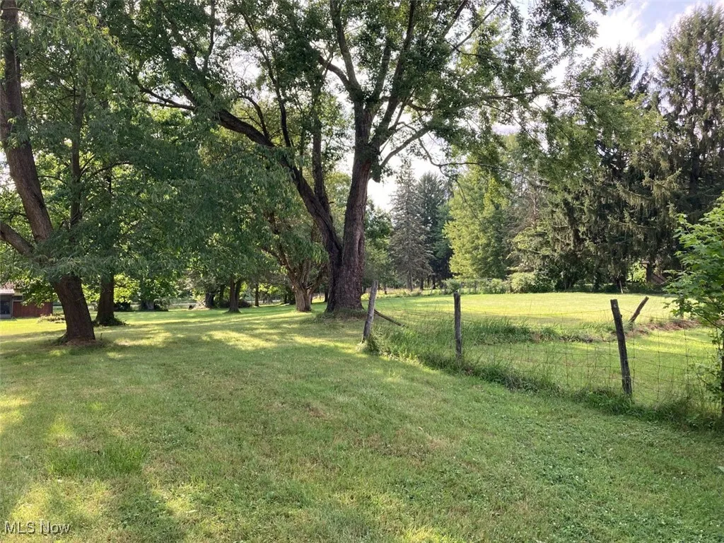 View of grassy yard