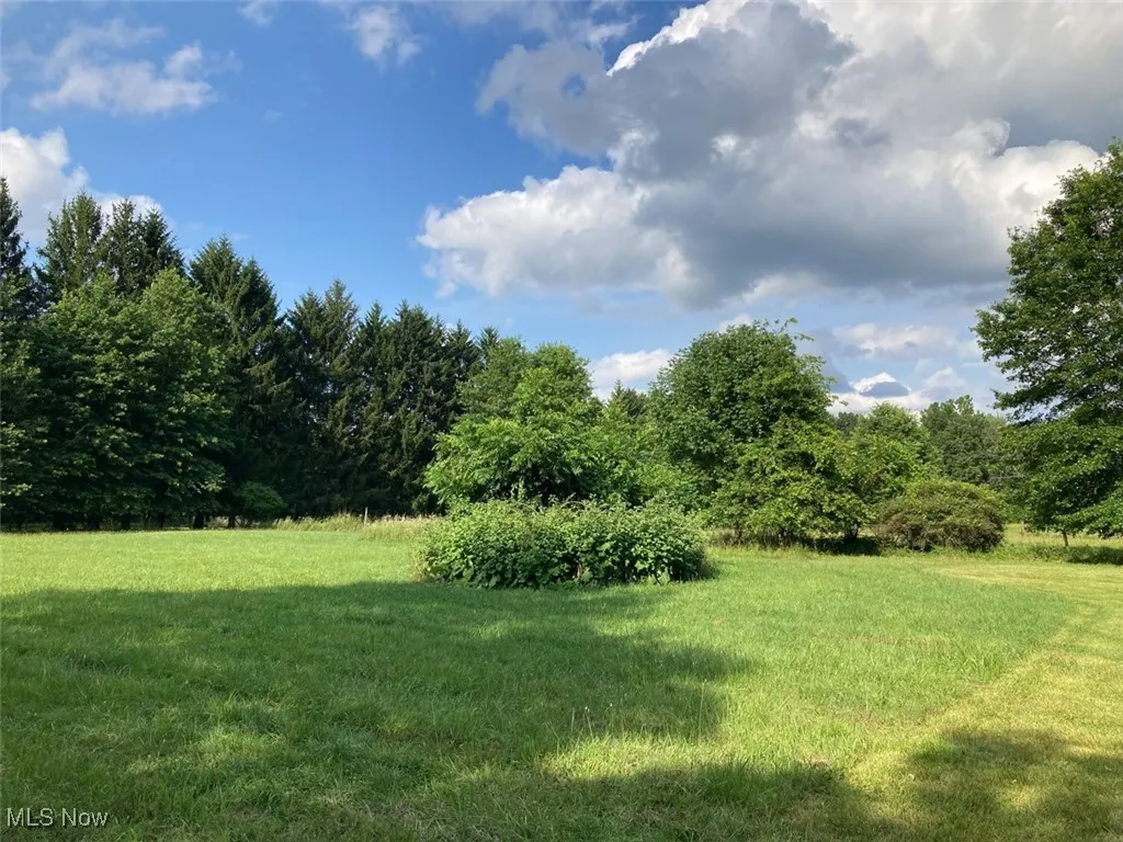 View of grassy yard with a view of trees